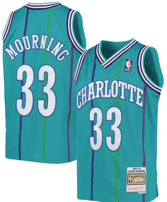 Charlotte Hornets Alonzo Mourning 1992-93 Mitchell & Ness Teal Basketball Jersey - image 1