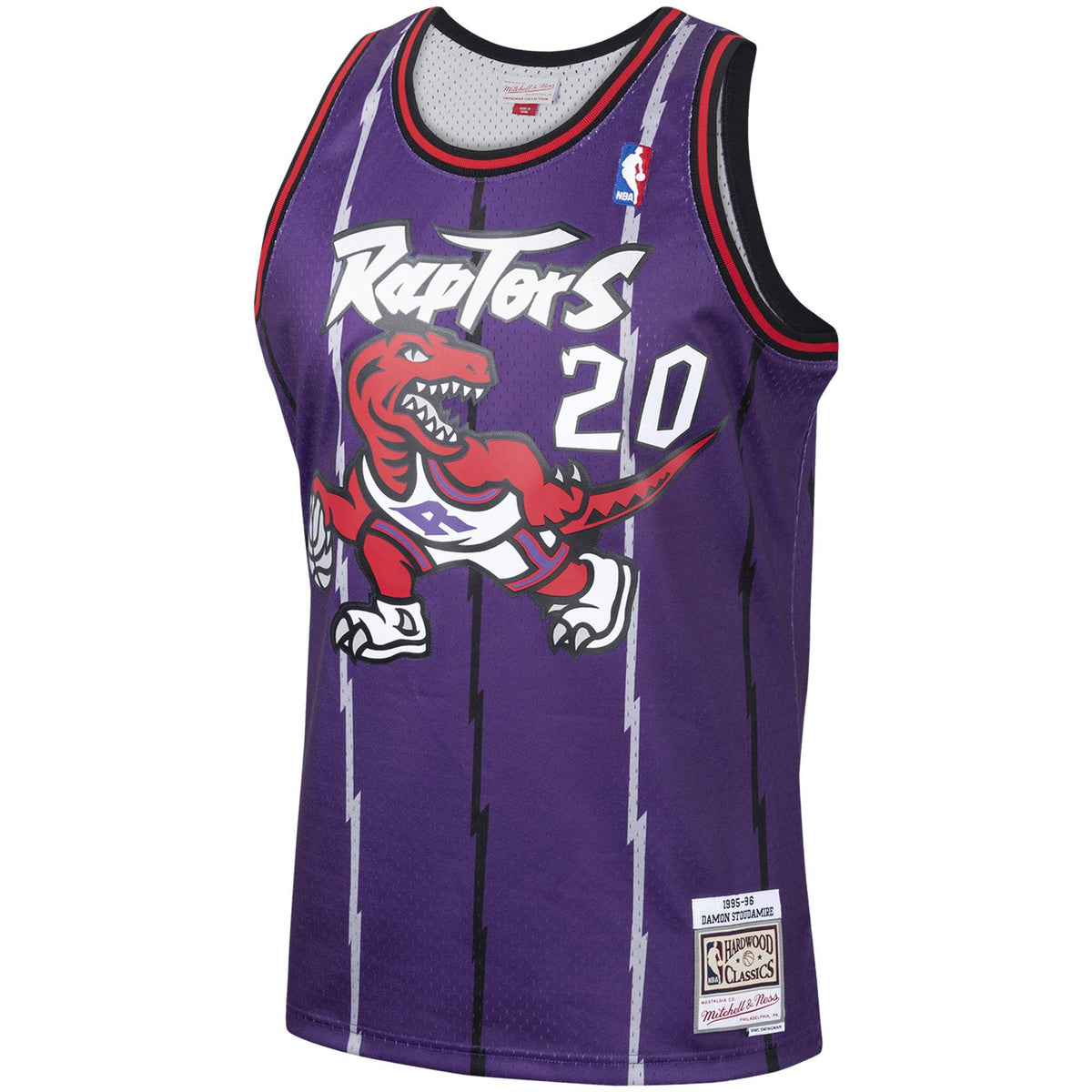 Men's Damon Stoudamire Toronto Raptors Mitchell & Ness 1995-96 Hardwood Classics Swingman Jersey - Purple - image 2
