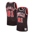 Chicago Bulls Dennis Rodman Black 1995-96 Hardwood Classics Swingman Jersey - image 1