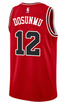 Chicago Bulls Ayo Dosunmu Red Nike Swingman Icon Jersey - image 1