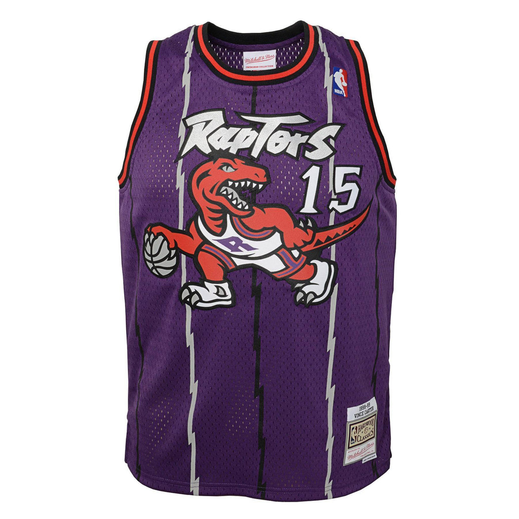 Toronto Raptors Vince Carter Mitchell & Ness Purple Hardwood Classics Jersey - image 2