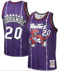 Men's Damon Stoudamire Toronto Raptors Mitchell & Ness 1995-96 Hardwood Classics Swingman Jersey - Purple - image 1