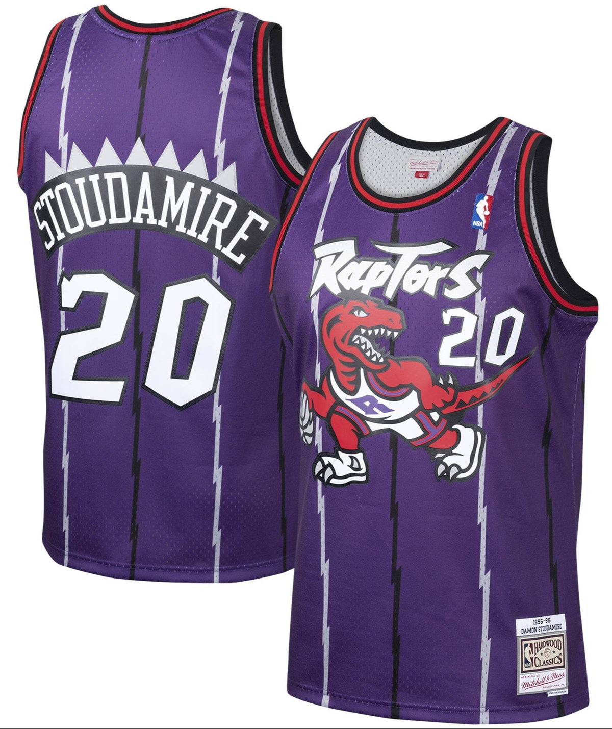 Men's Damon Stoudamire Toronto Raptors Mitchell & Ness 1995-96 Hardwood Classics Swingman Jersey - Purple - image 1
