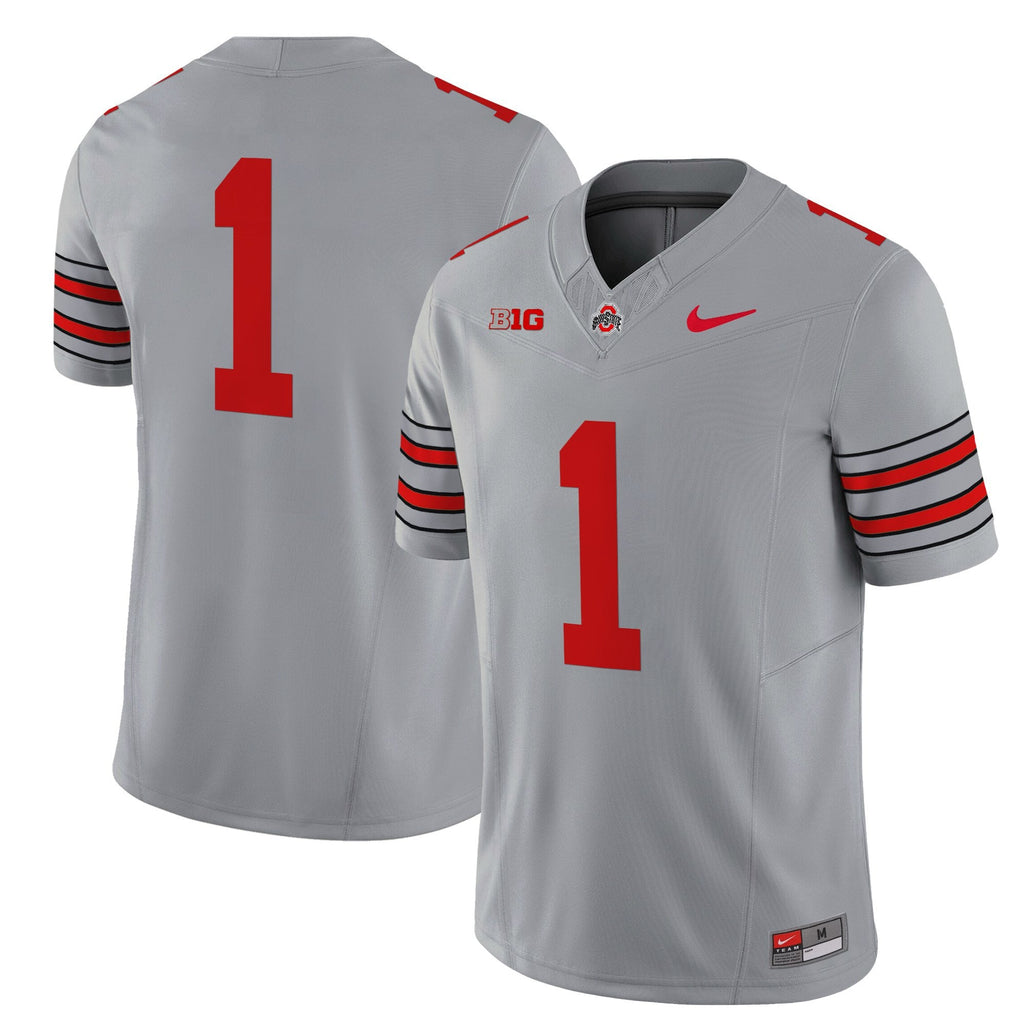 Men's Ohio State Buckeyes 'Heritage Stripe' 2025/26 Vapor Limited Jersey - All Stitched - image 30