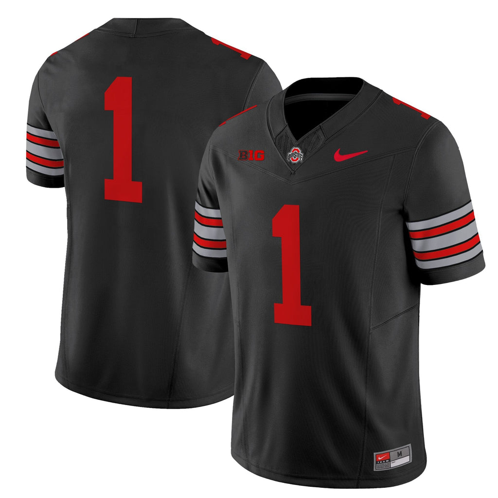 Men's Ohio State Buckeyes 'Heritage Stripe' 2025/26 Vapor Limited Jersey - All Stitched - image 40