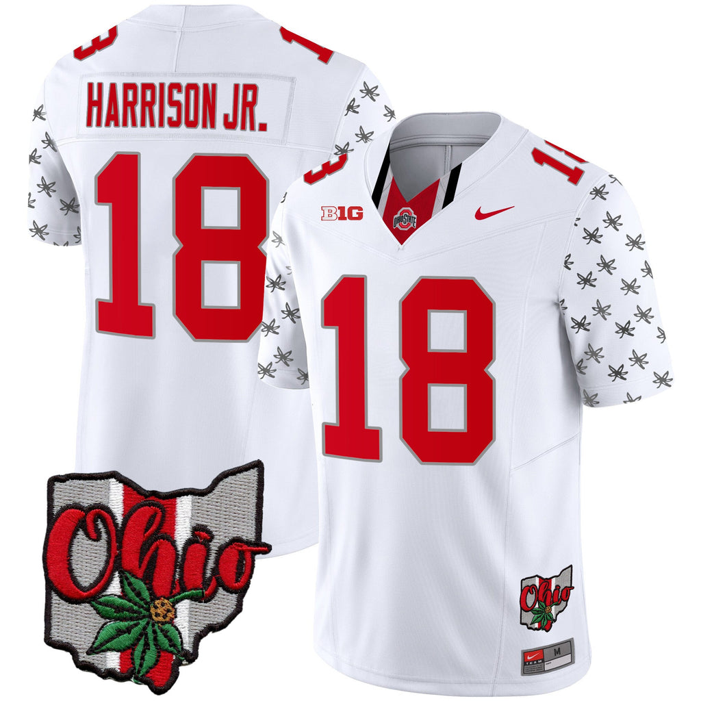 Men's Ohio State Buckeyes 2023 Gray Alternate Jersey V2 - Stitched - image 7
