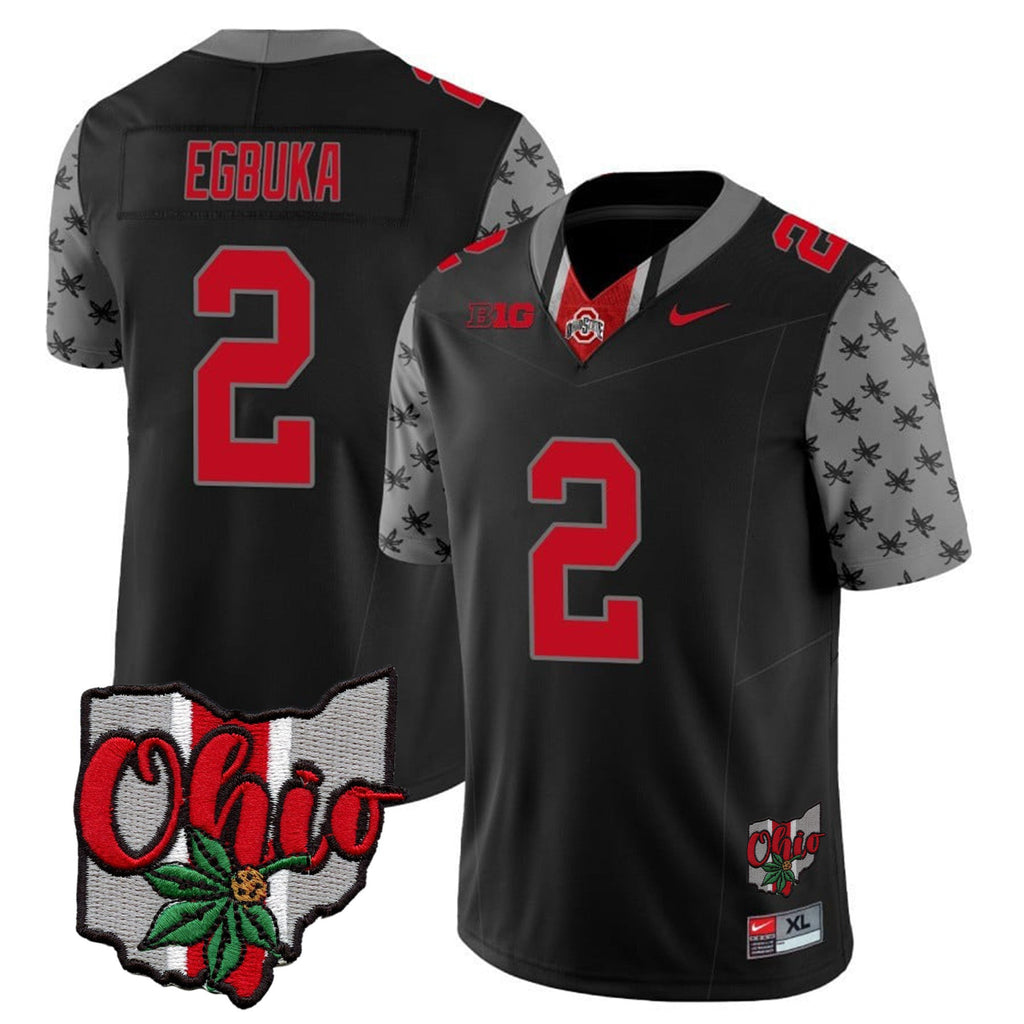 Men's Ohio State Buckeyes 2023 Gray Alternate Jersey V2 - Stitched - image 16