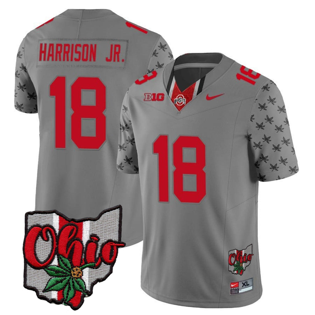 Men's Ohio State Buckeyes 2023 Gray Alternate Jersey V2 - Stitched - image 19