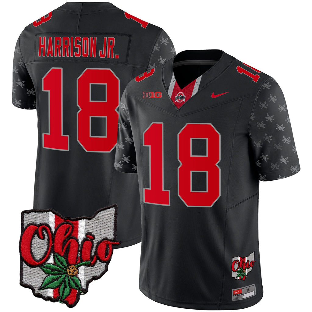 Men's Ohio State Buckeyes 2023 Gray Alternate Jersey V2 - Stitched - image 1