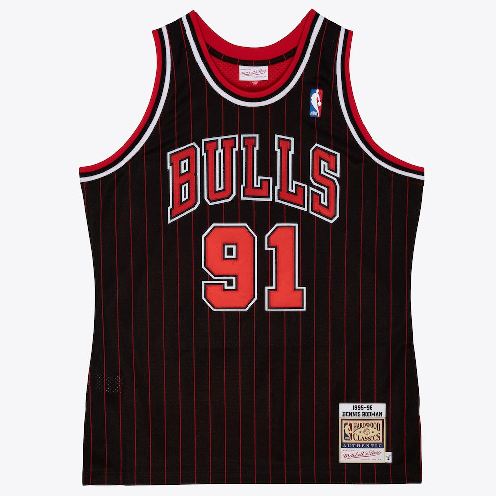 Chicago Bulls Jersey Dennis Rodman 1995 96 | Stitched Jersey RTJS 11920 - image 1