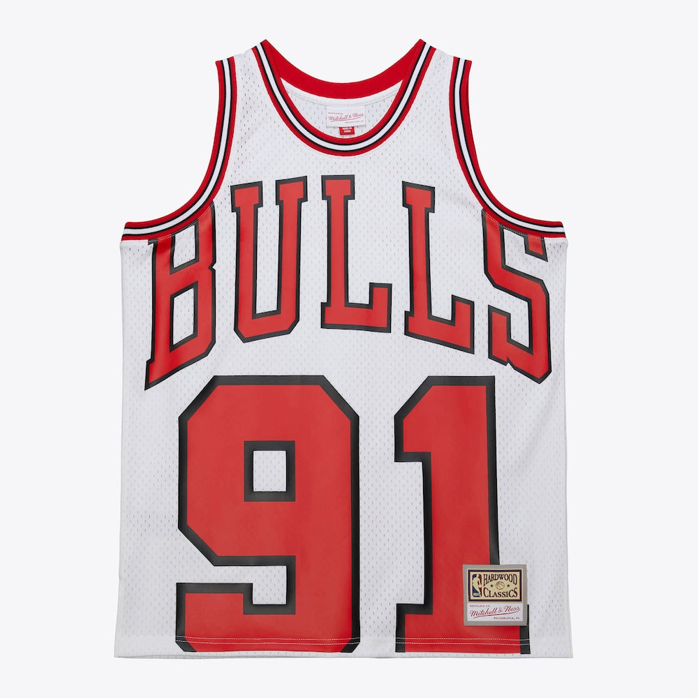 Chicago Bulls Maxxed Out Jersey 1997 Dennis Rodman | Stitched Jersey RTJS 11894 - image 1