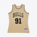 Chicago Bulls Swingman Jersey Dennis Rodman 1997 | Stitched Jersey RTJS 11773 - image 1